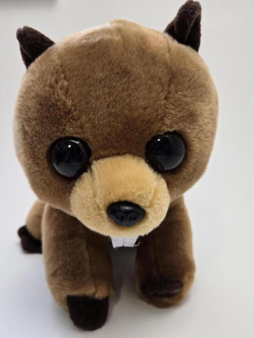 Ty Beanie Baby “Richie” the Beaver - No Hang Tag (Larger 9 inch)